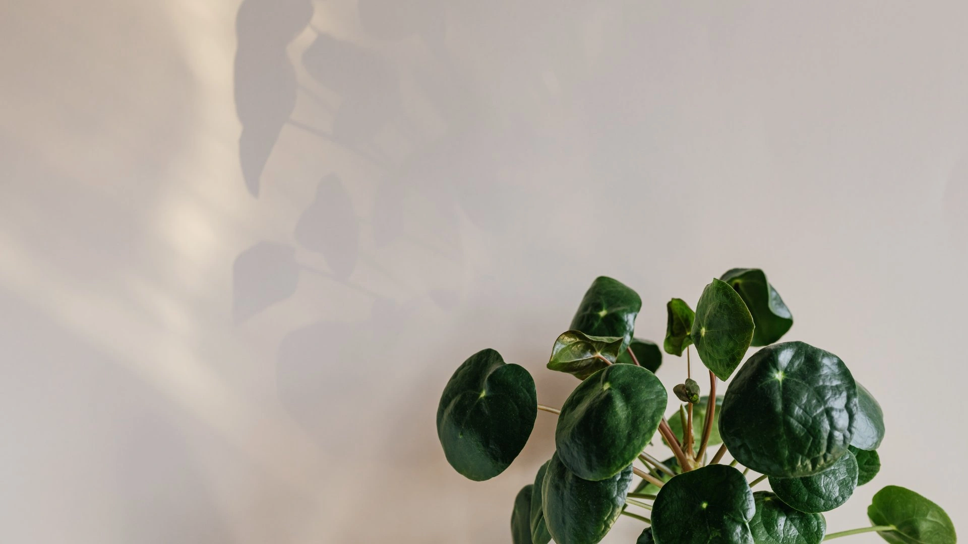 pintores calafell,pintor calafell,pintores en calafell,empresa de pintores en calafell,pintor en calafell,pintores de pisos calafell,pintor economico calafell,pintores baratos calafell,pintores calafell precios,precios pintores calafell